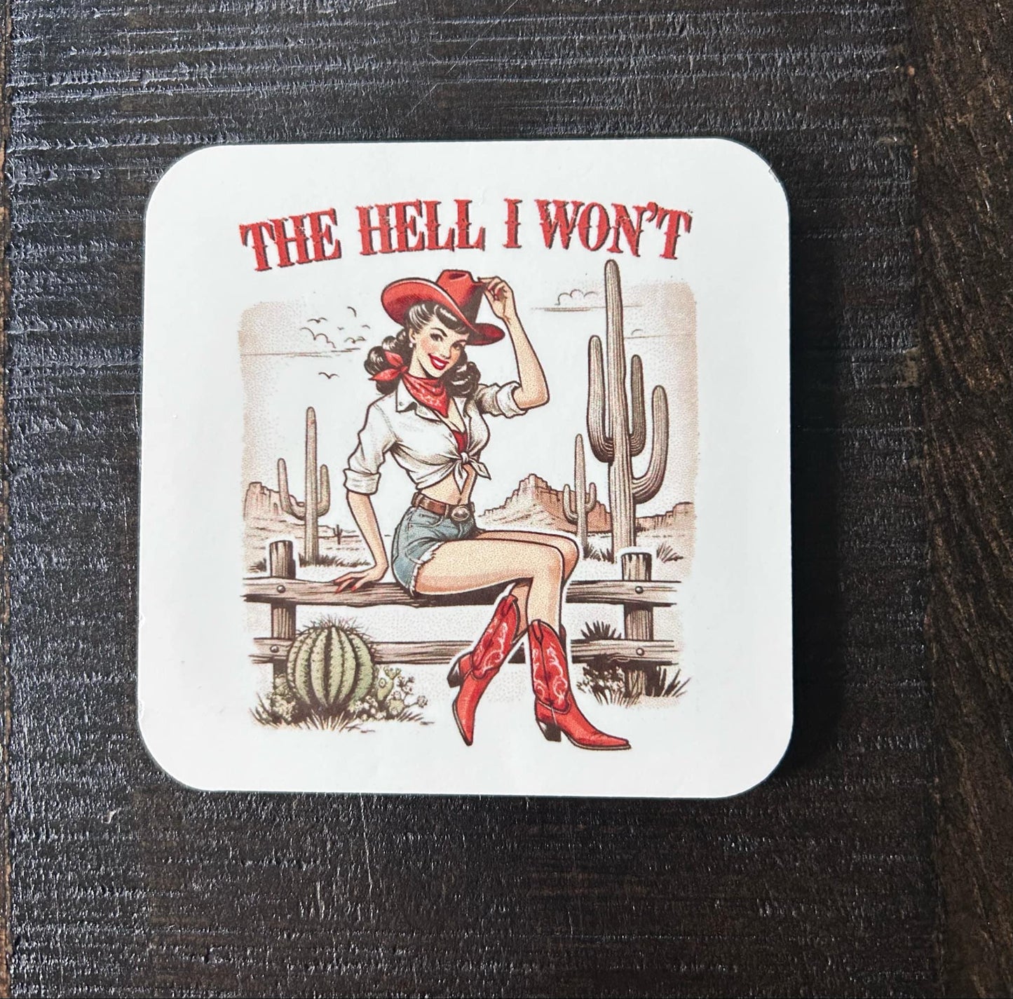 Sassy Magnets- Fridge Magnets- Retro Girls- Pin Ups- The Hell I Won't- Consider Zipping It- I'm Just A Girl