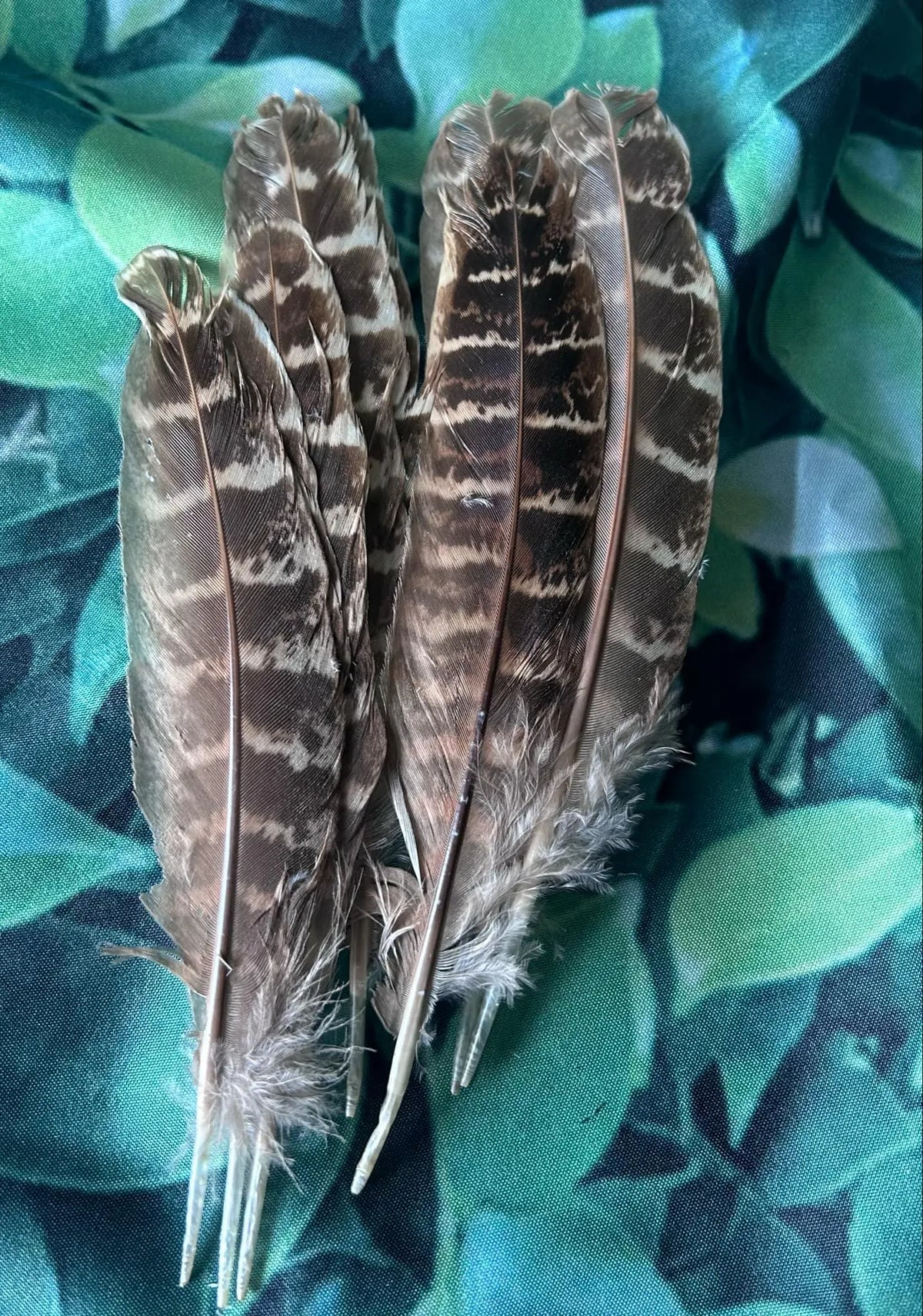 Cowgirl Hat Accessories For Create Your Own! Choose Your Ribbon, Cards, Feathers Etc.